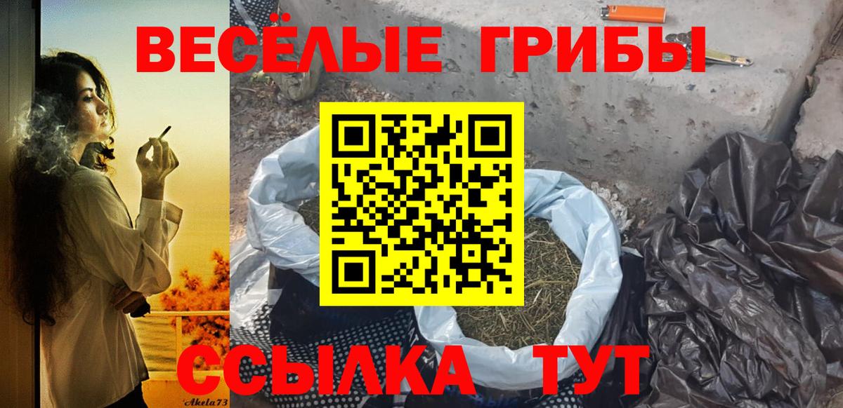 Псилоцибиновые грибы мухоморы  Вход с VPN  Вологда 