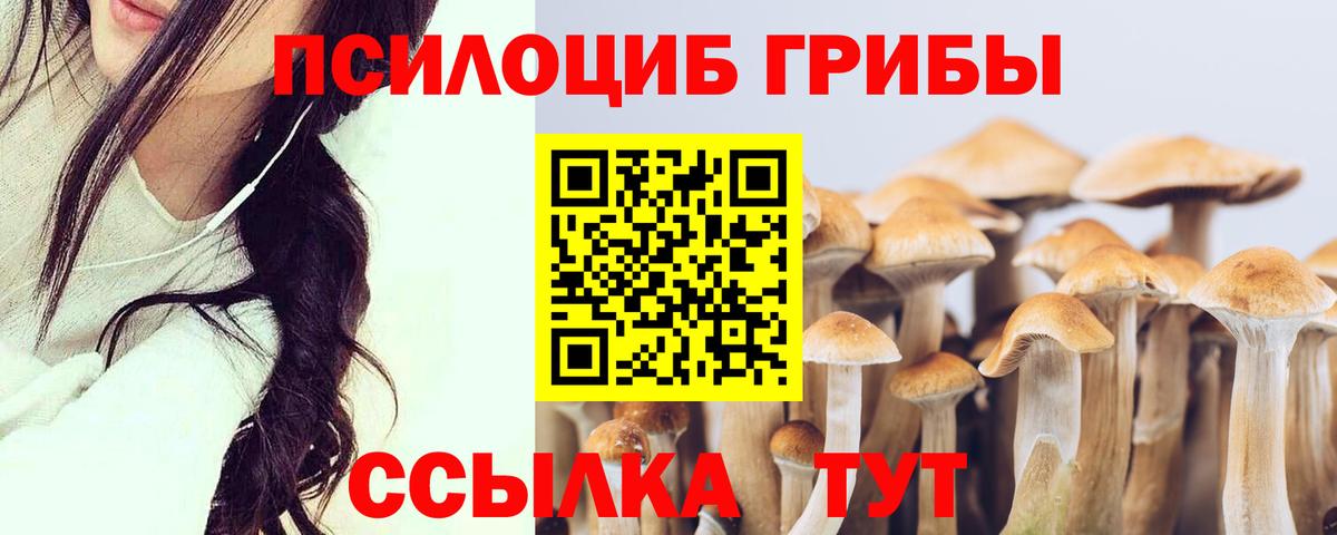 Галлюциногенные грибы MAGIC MUSHROOMS Вологда